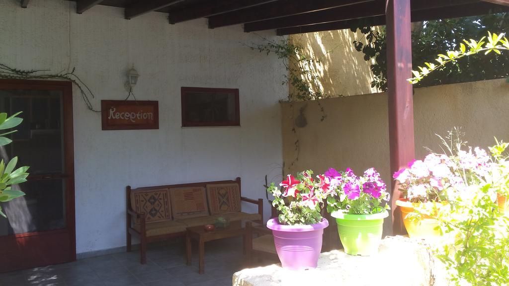 Apartment Galini Palekastro
